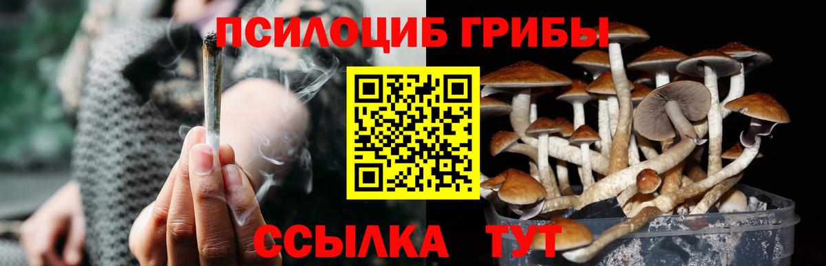 Можга  Галлюциногенные грибы MAGIC MUSHROOMS  Псилоцибиновые грибы мицелий  Вход с VPN 